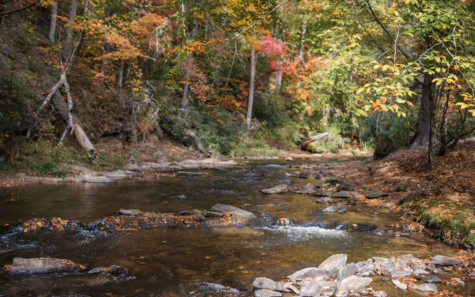 1800 Old Dial Road Morganton, GA 30560 - Photo 3 of 56 Additional View