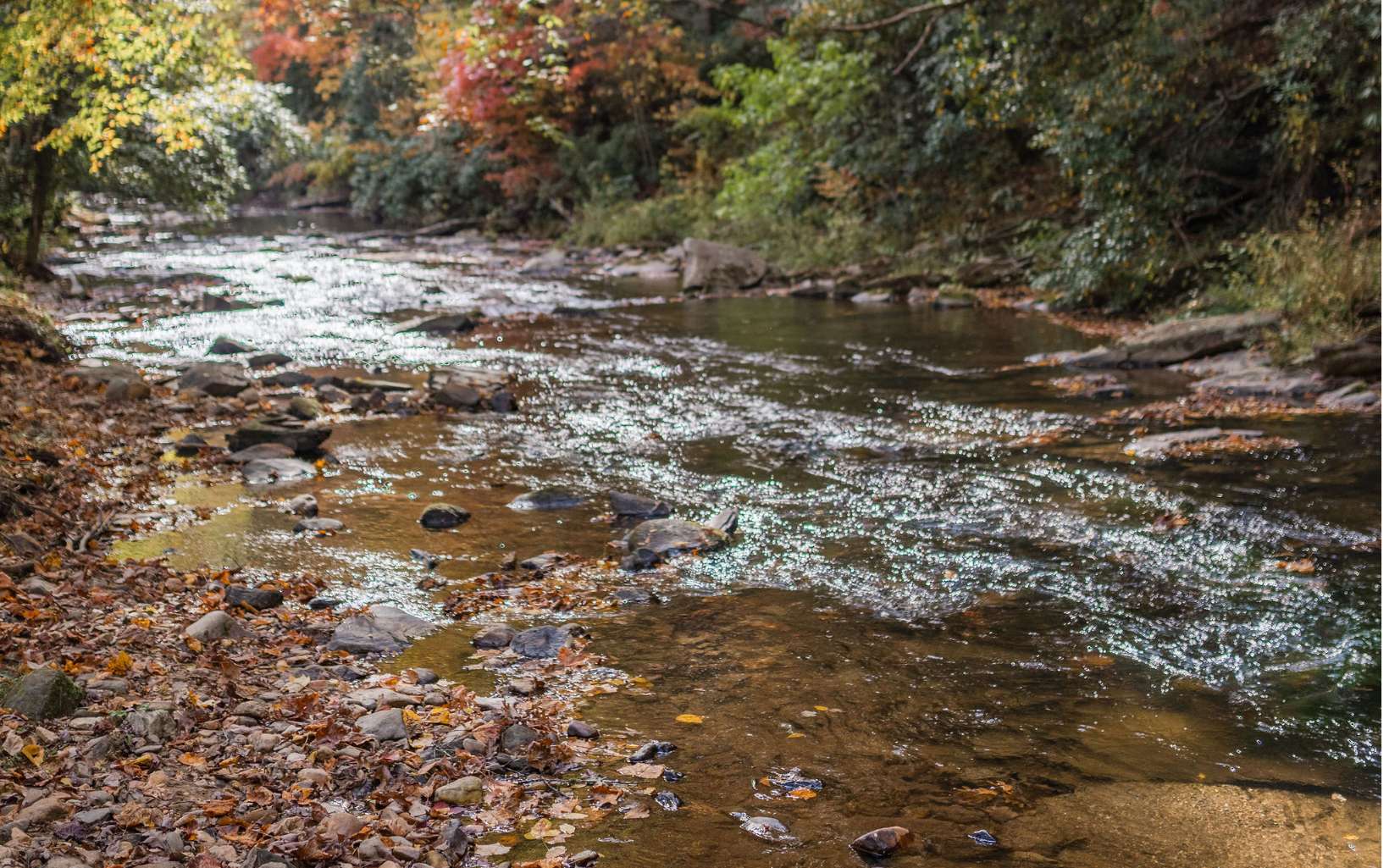 1800 Old Dial Road Morganton, GA 30560 - Photo 35 of 56 Additional View