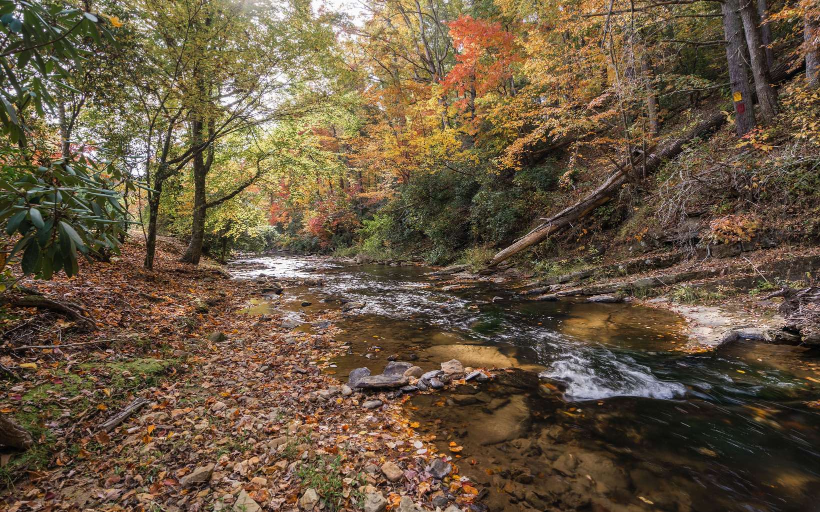 1800 Old Dial Road Morganton, GA 30560 - Photo 42 of 56 Additional View