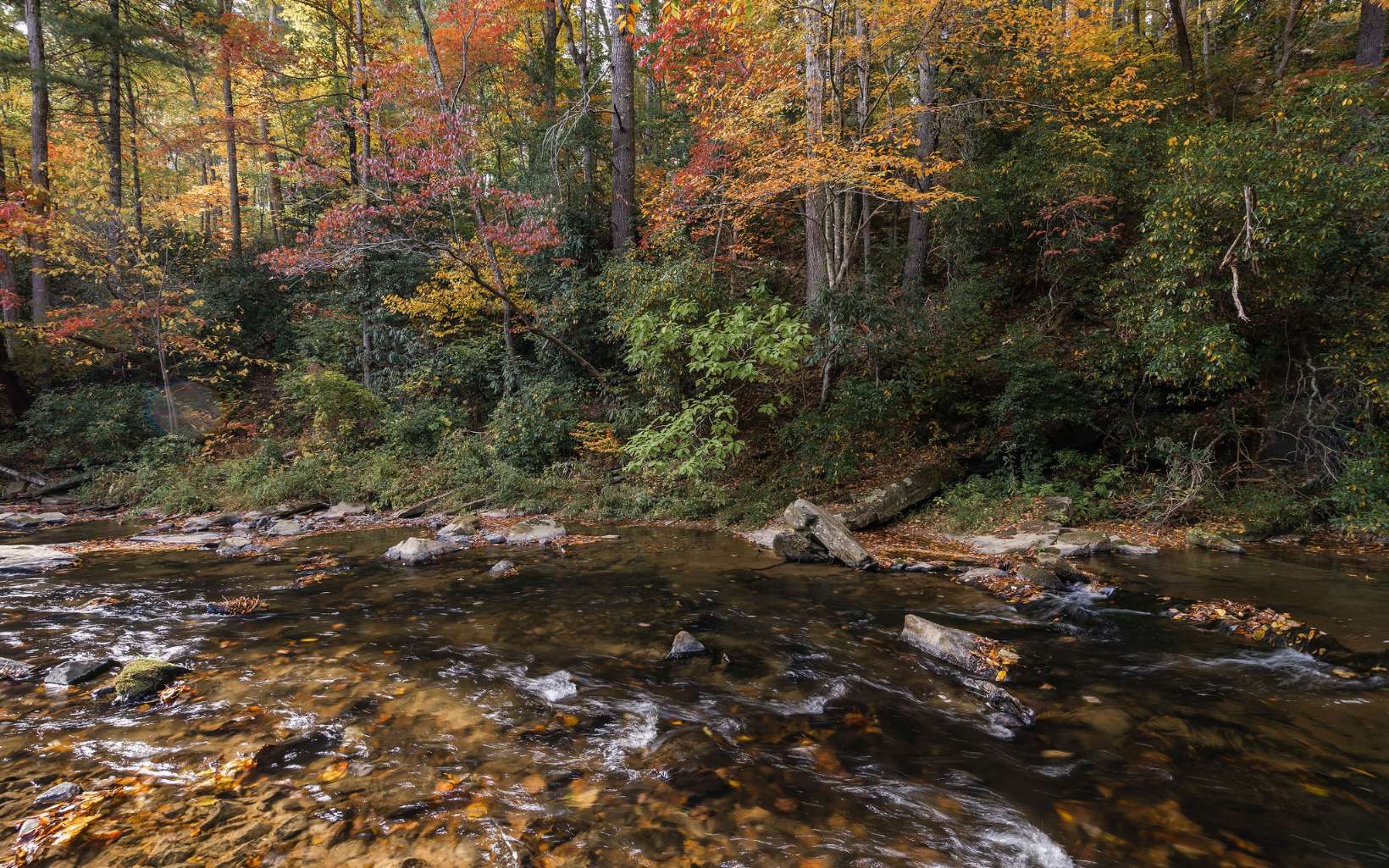 1800 Old Dial Road Morganton, GA 30560 - Photo 44 of 56 Additional View