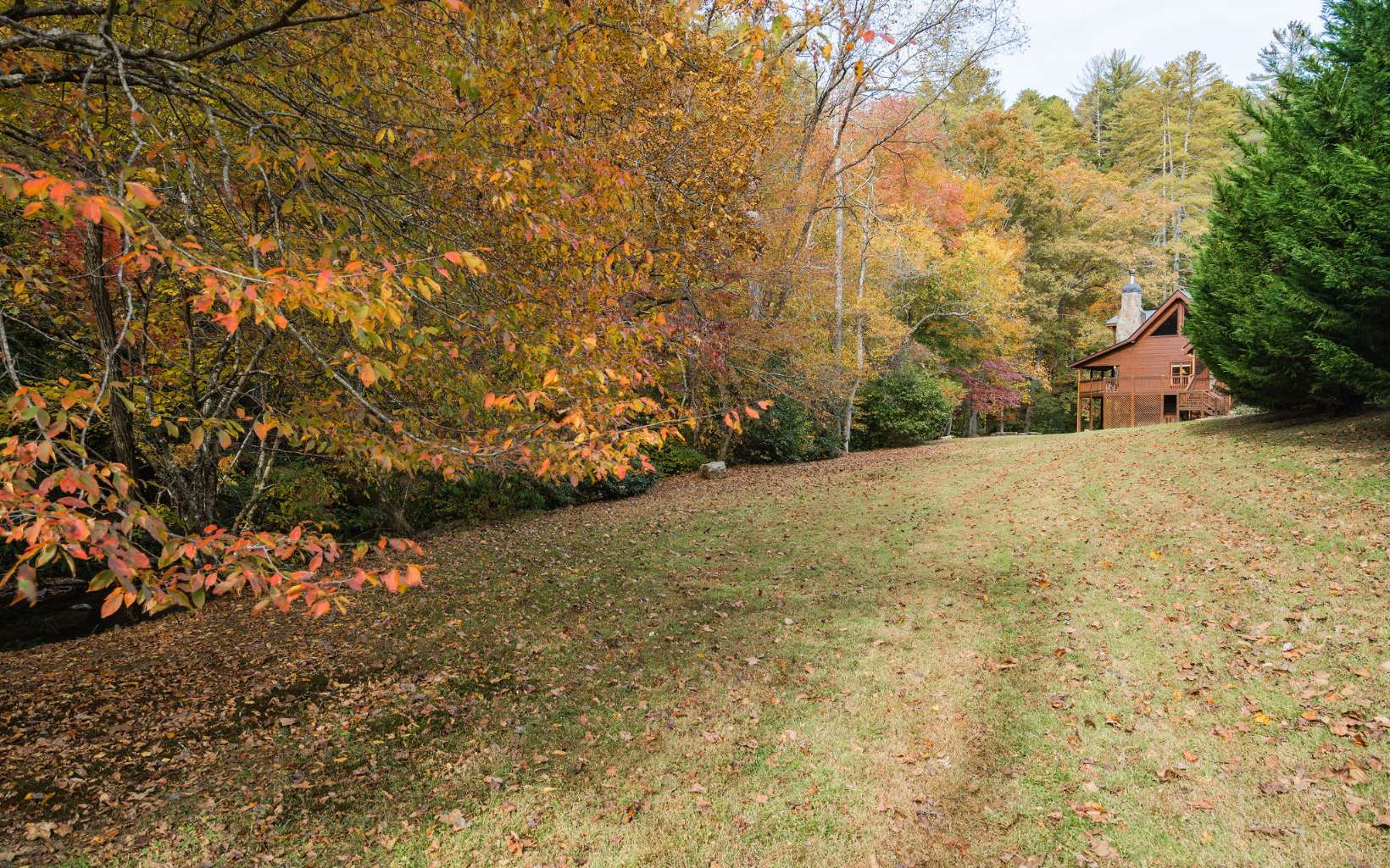 1800 Old Dial Road Morganton, GA 30560 - Photo 46 of 56 Additional View