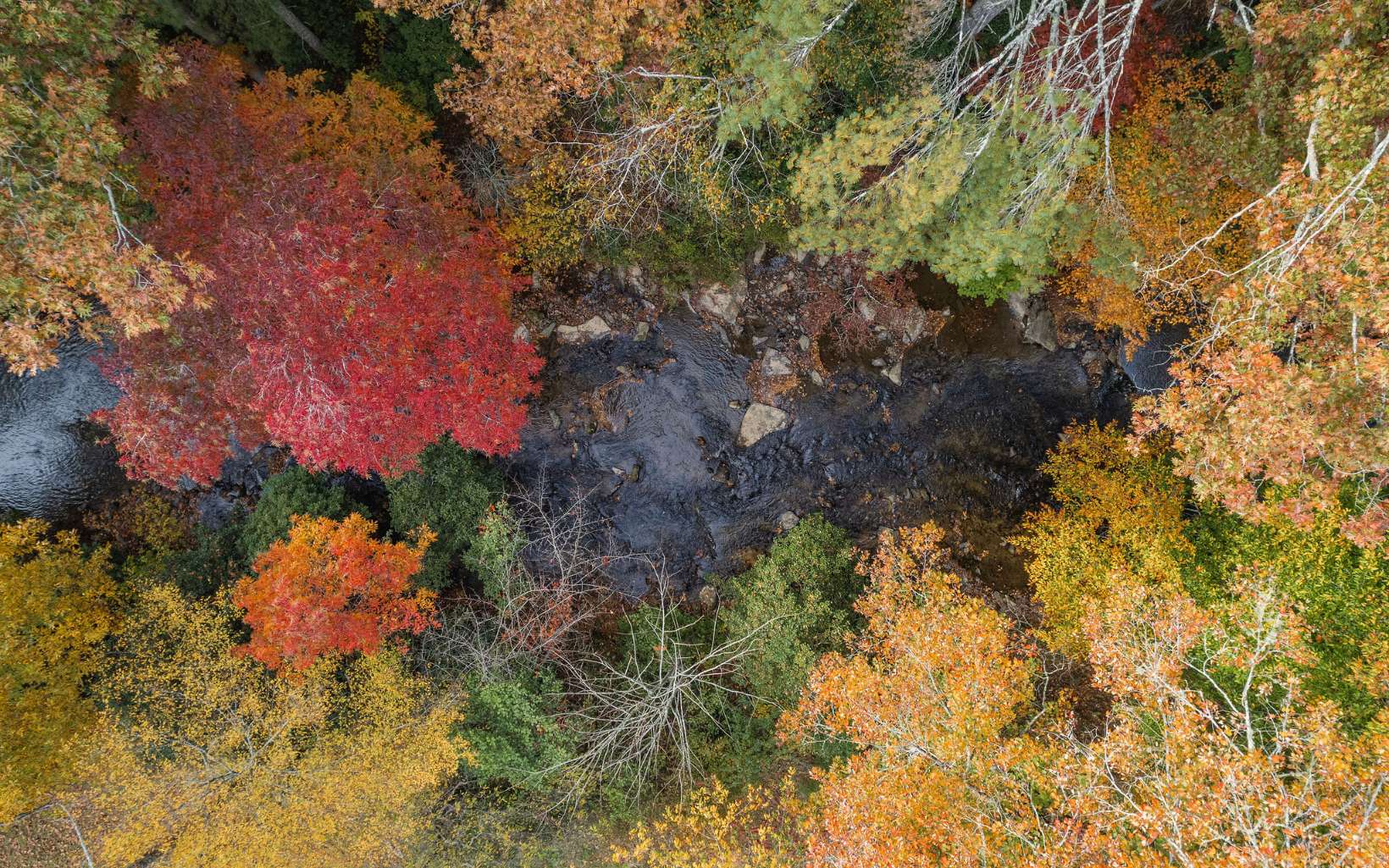 1800 Old Dial Road Morganton, GA 30560 - Photo 48 of 56 Additional View