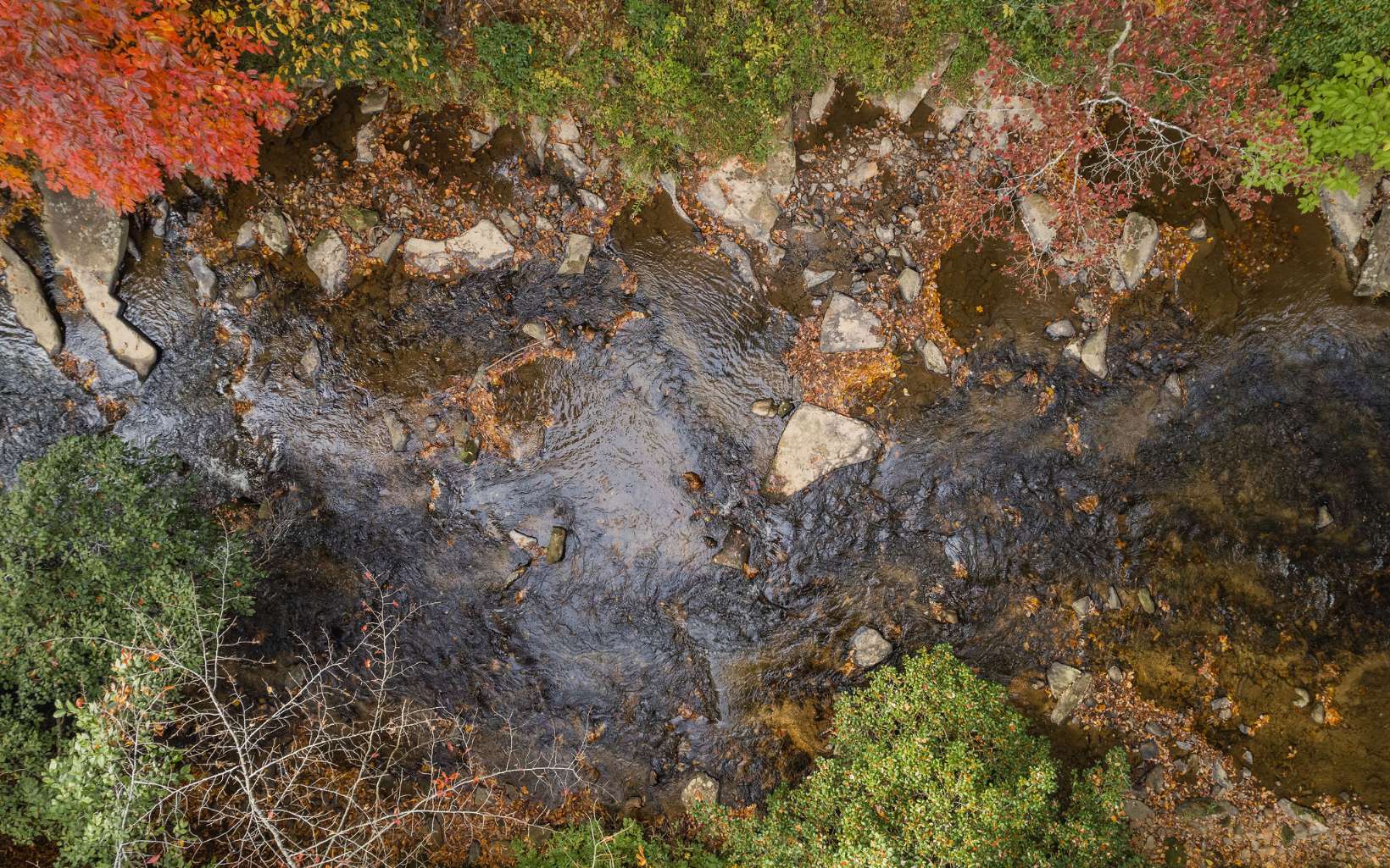 1800 Old Dial Road Morganton, GA 30560 - Photo 49 of 56 Additional View