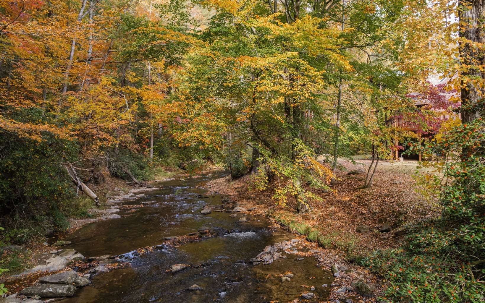 1800 Old Dial Road Morganton, GA 30560 - Photo 50 of 56 Additional View