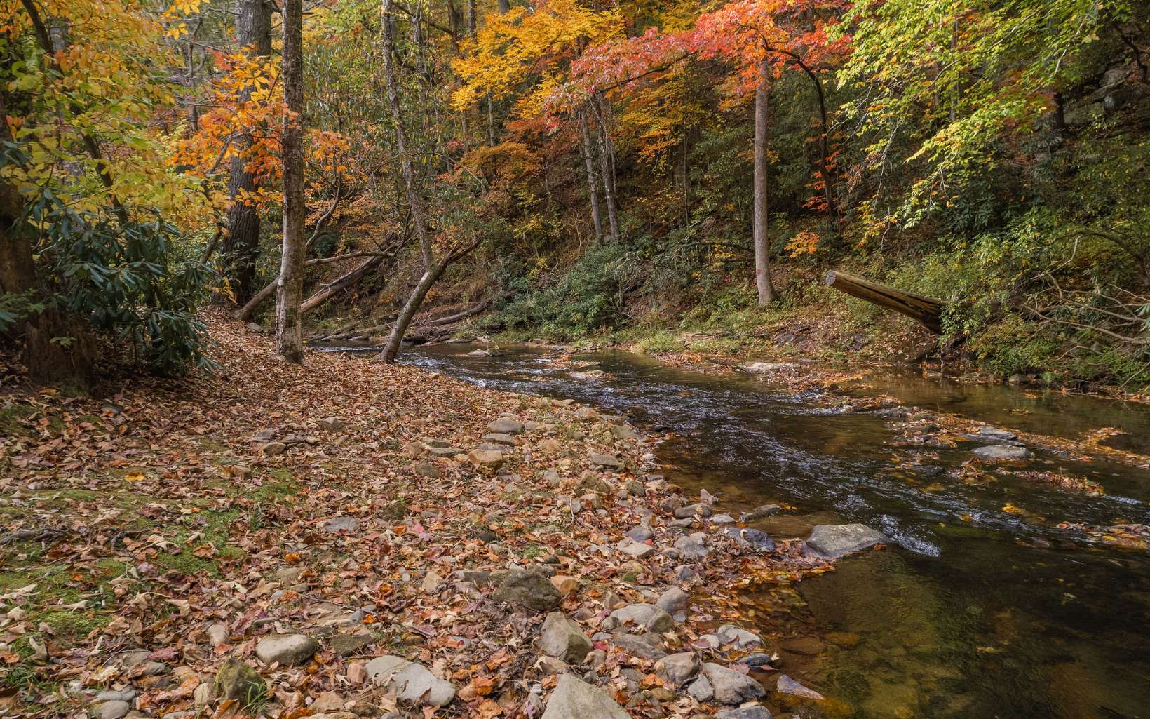 1800 Old Dial Road Morganton, GA 30560 - Photo 51 of 56 Additional View