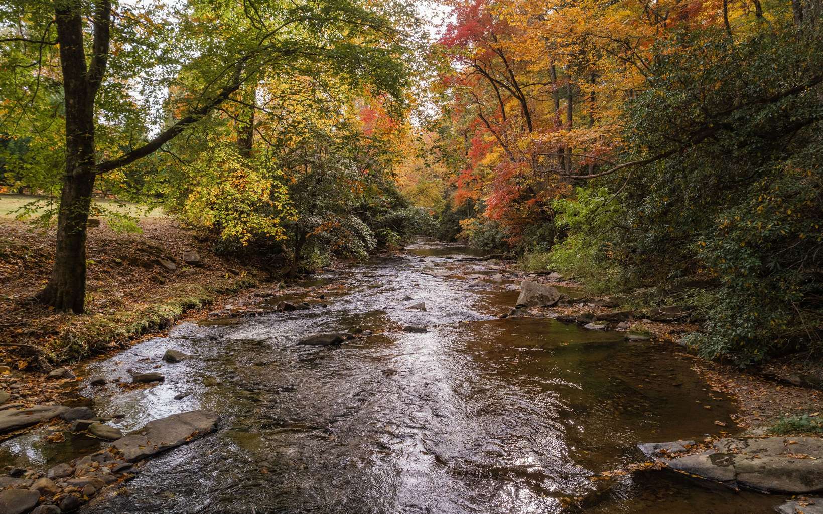 1800 Old Dial Road Morganton, GA 30560 - Photo 52 of 56 Additional View