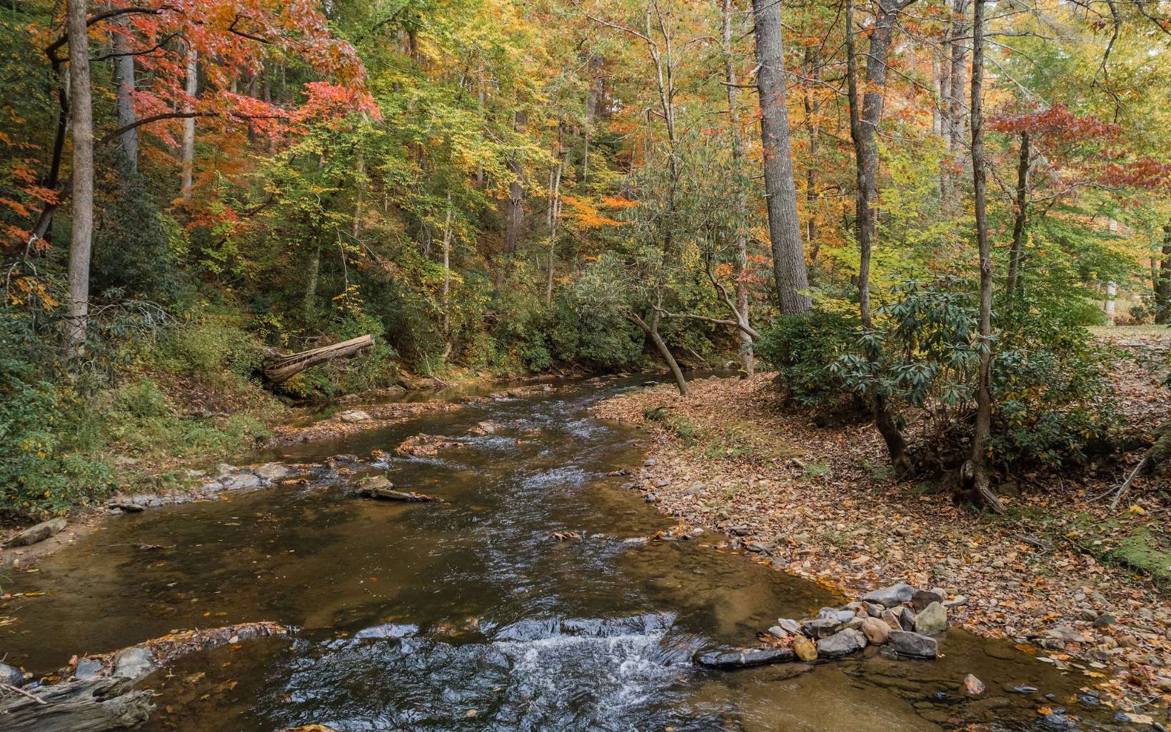 1800 Old Dial Road Morganton, GA 30560 - Photo 53 of 56 Additional View