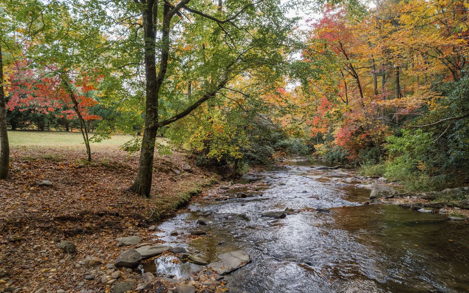1800 Old Dial Road Morganton, GA 30560 - Photo 55 of 56 Additional View