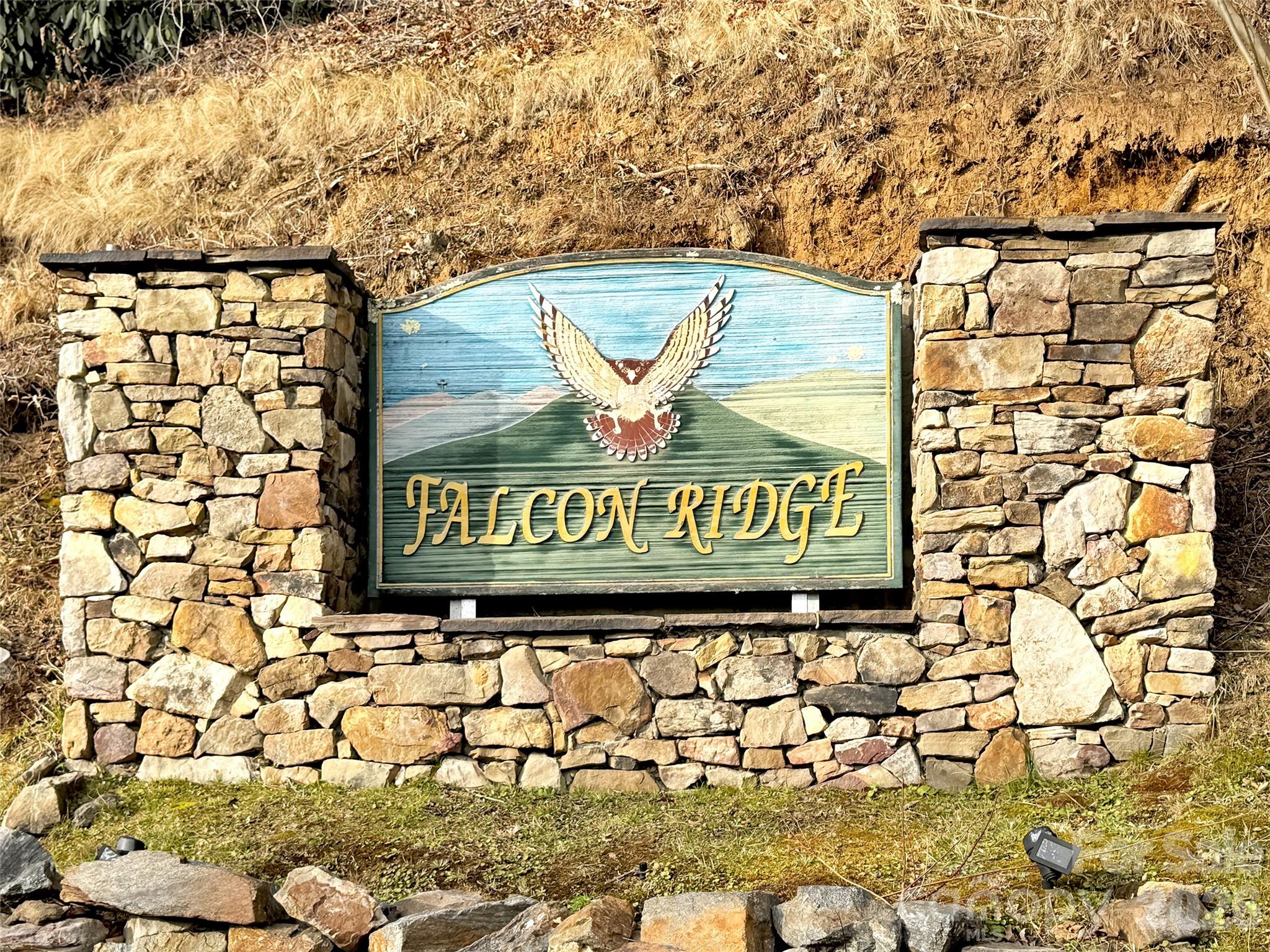 371 Falcon Ridge Drive Waynesville, NC 28786 - Photo 20 of 48