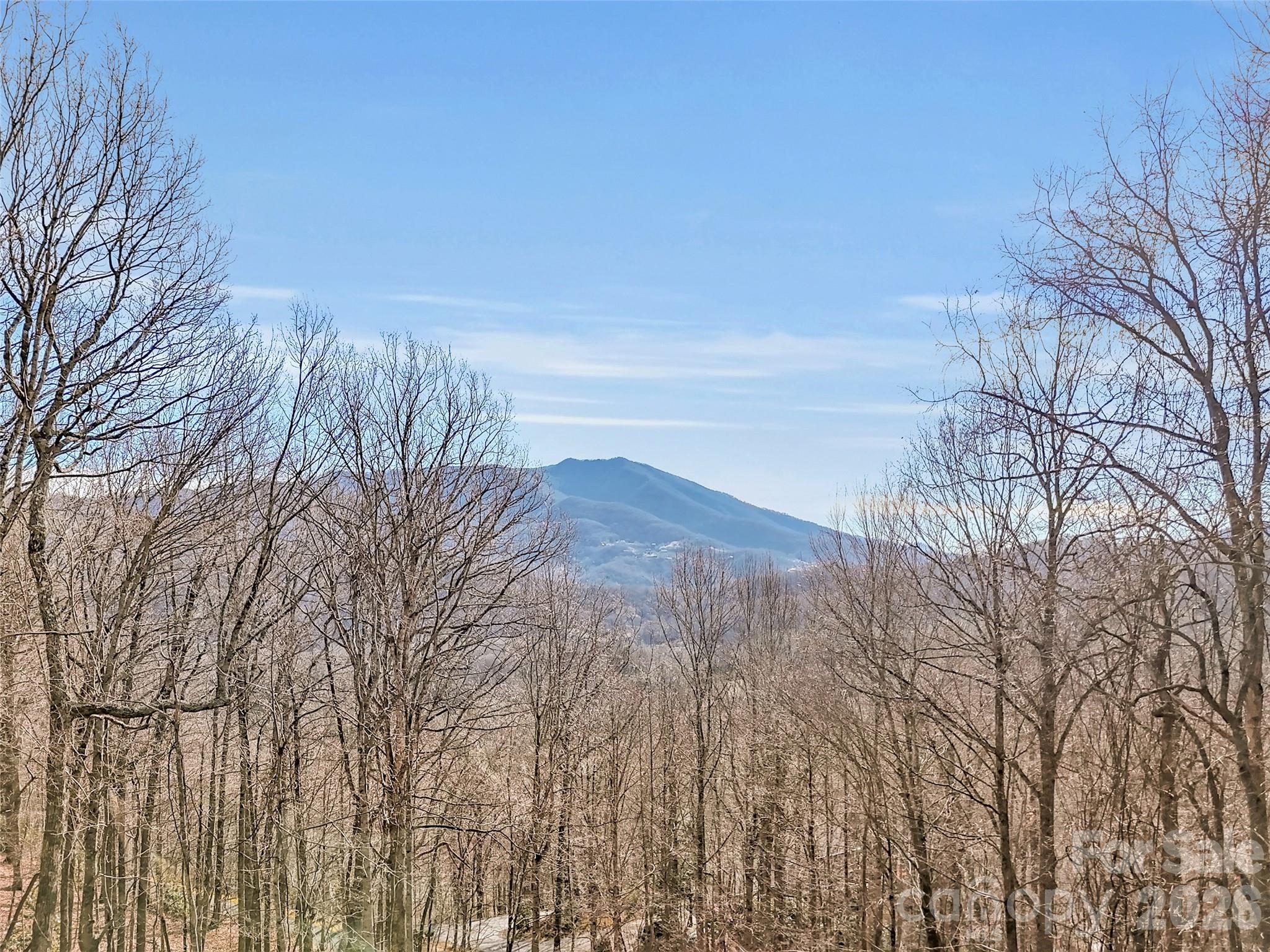 371 Falcon Ridge Drive Waynesville, NC 28786 - Photo 44 of 48 a view of a yard with mountain and trees
