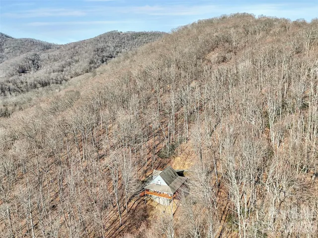 a view of a yard with mountain and trees