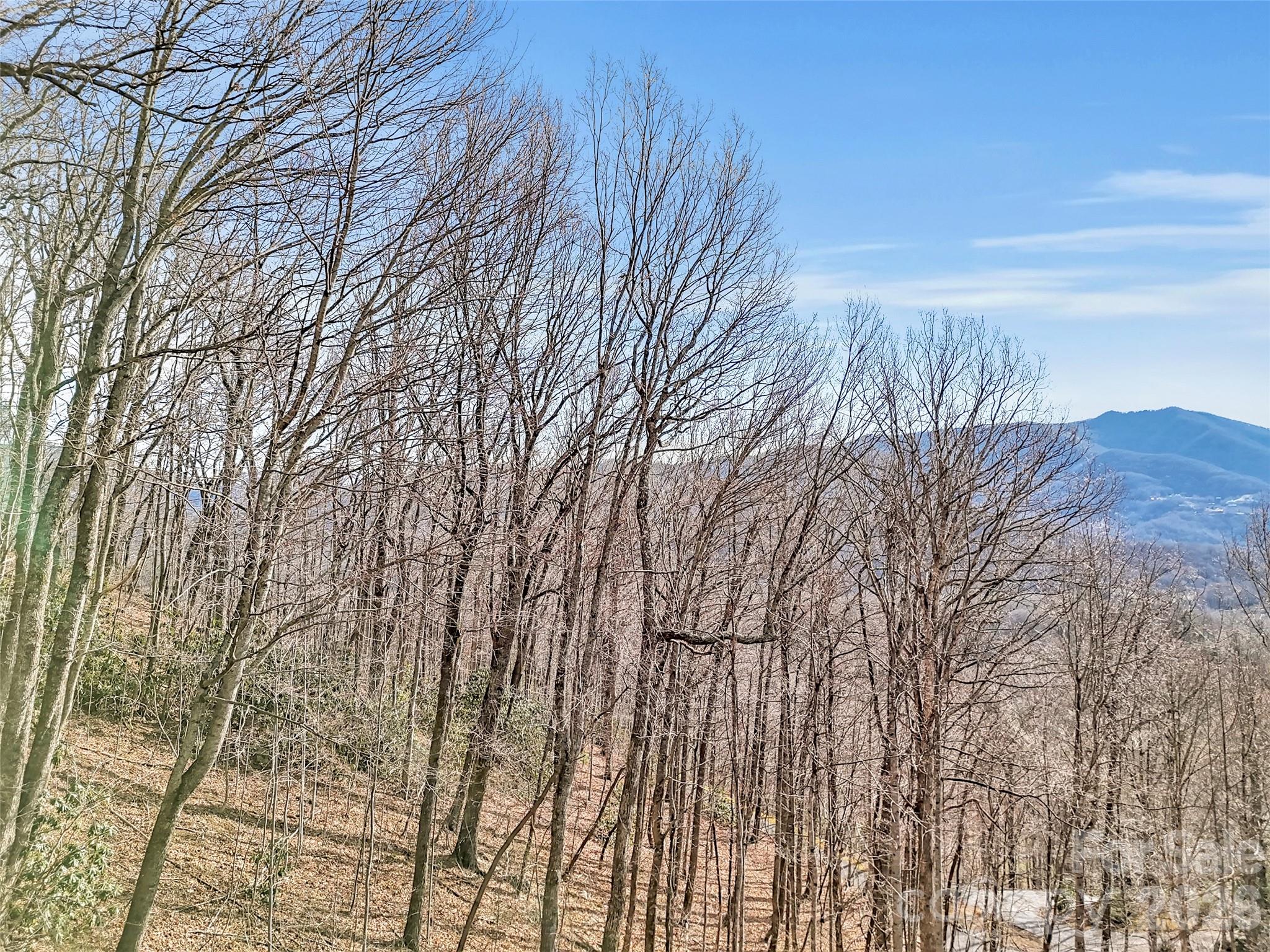 371 Falcon Ridge Drive Waynesville, NC 28786 - Photo 47 of 48
