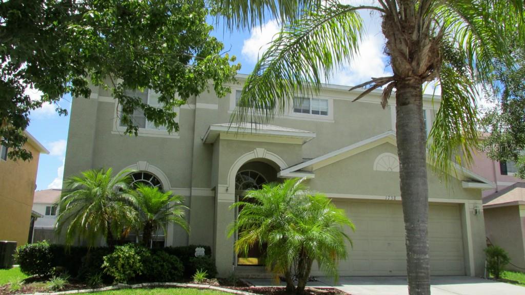 1738 Mapleleaf Boulevard Oldsmar, FL 34677 - Photo 1 of 1 a view of a yard with palm trees