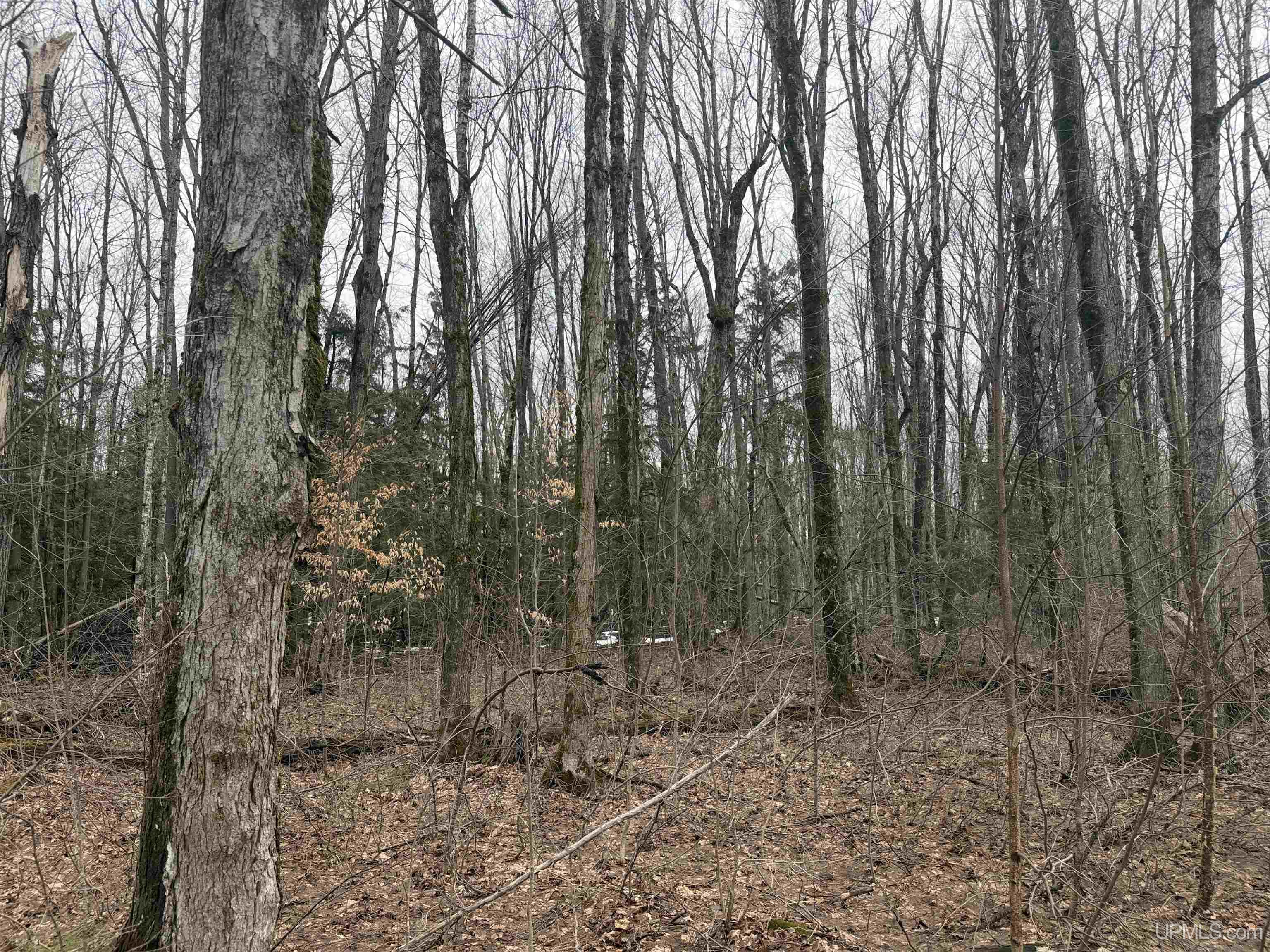 18 Chaney Lake Road Wakefield, MI 49968 - Photo 5 of 37