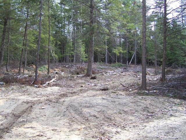 Lot 8 188th Route Burlington, ME 04417 - Photo 6 of 7 Photo