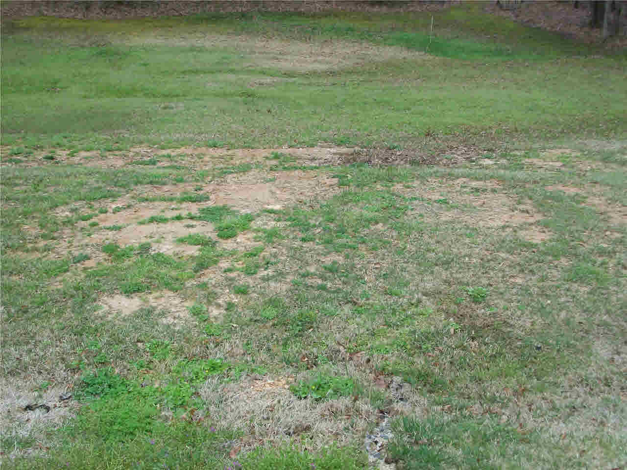 2965 Neil Collins Road Raymond, MS 39154 - Photo 6 of 33 Photo 6