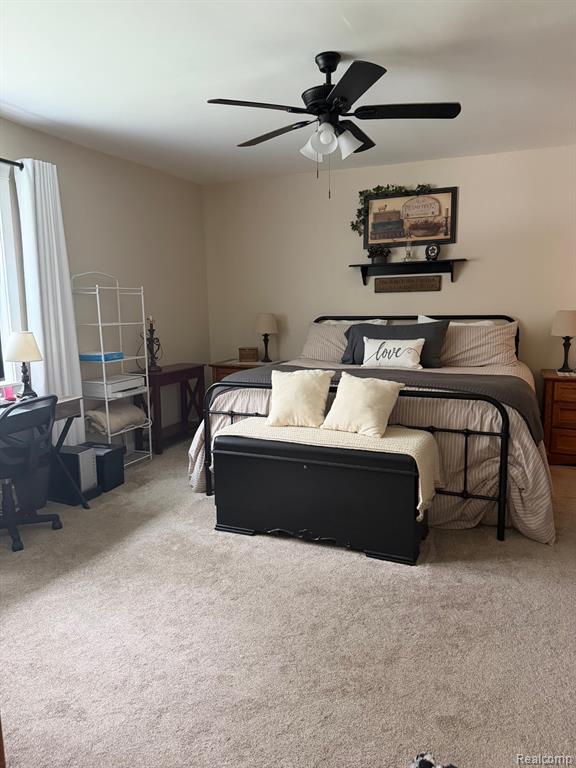 8128 Howard Road Marlette, MI 48453 - Photo 8 of 11