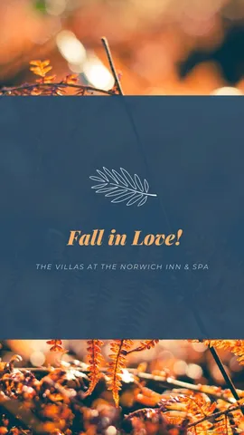 a view of a back yard