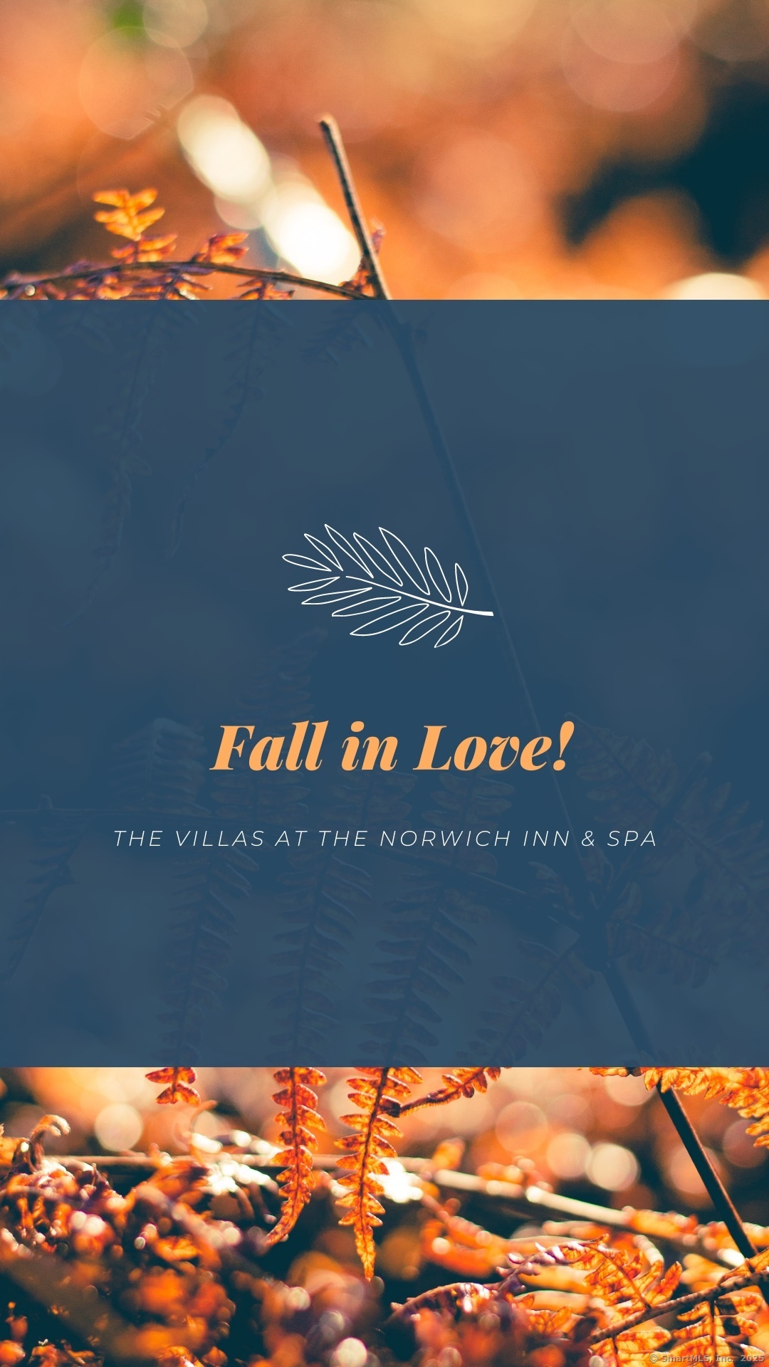 1623 Old Pond Lane, Unit 1623 Norwich, CT 06360 - Photo 1 of 40 a view of a back yard