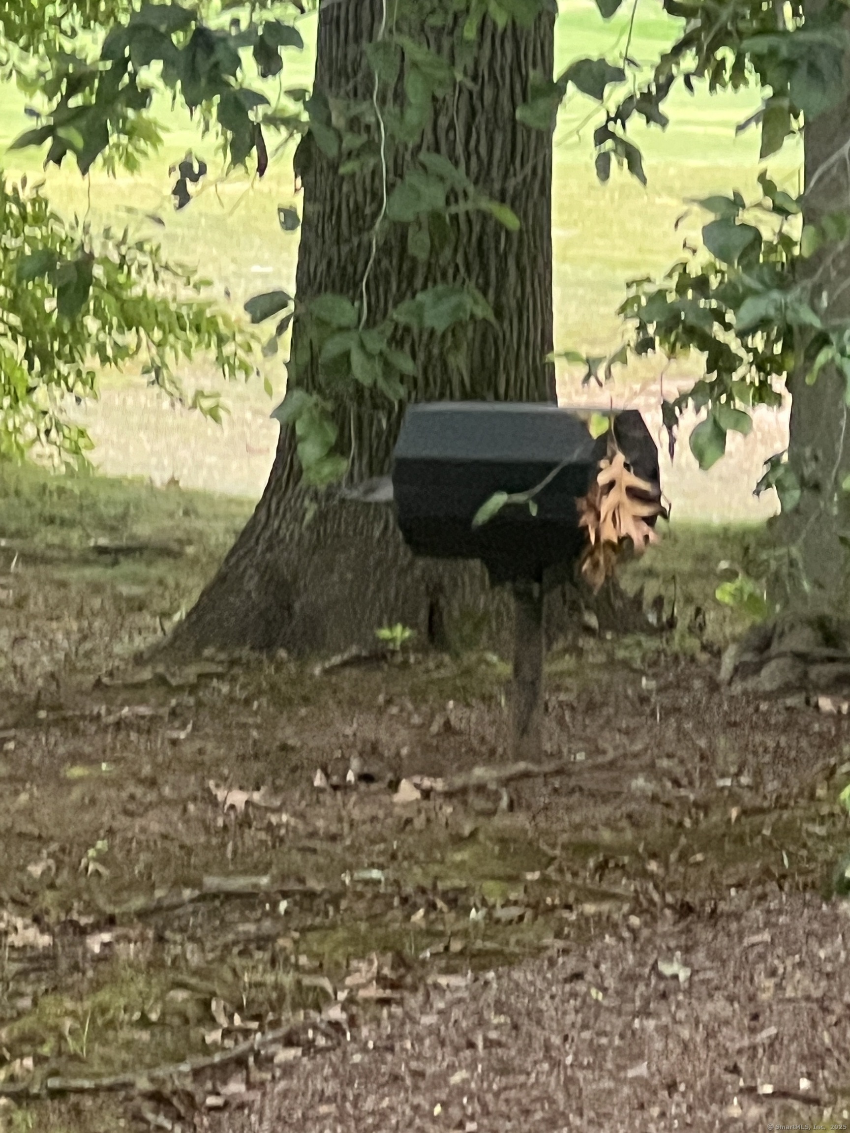 1623 Old Pond Lane, Unit 1623 Norwich, CT 06360 - Photo 24 of 40 a view of a yard with plants and a garden