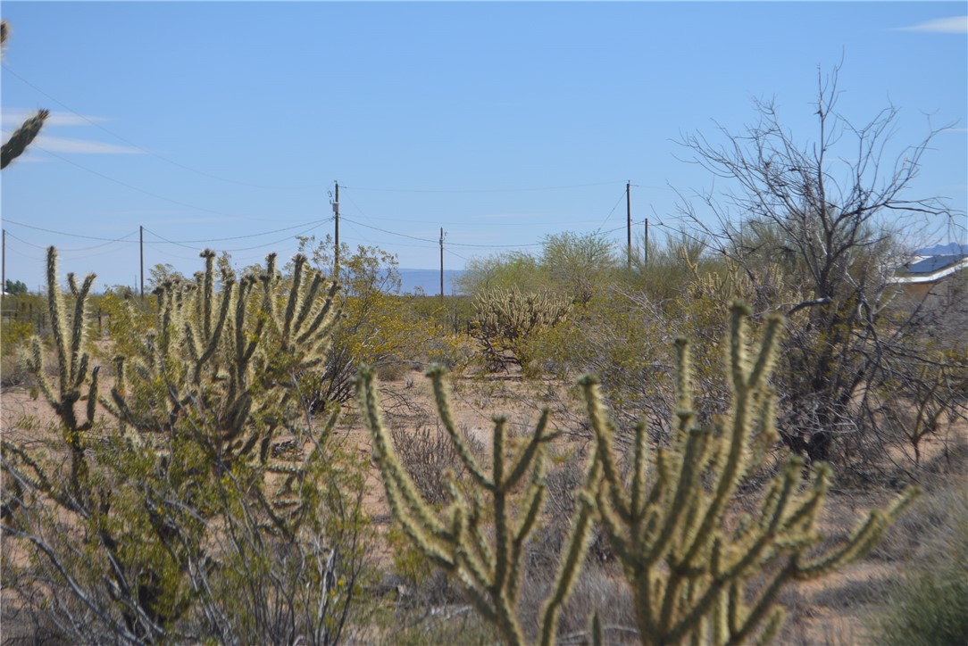 Tbd Parker Road Golden Valley, AZ 86413 - Photo 11 of 23 Gallery Image 11