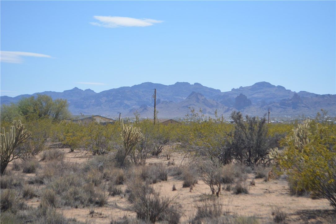 Tbd Parker Road Golden Valley, AZ 86413 - Photo 13 of 23 Gallery Image 13