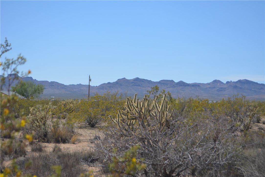 Tbd Parker Road Golden Valley, AZ 86413 - Photo 15 of 23 Gallery Image 15