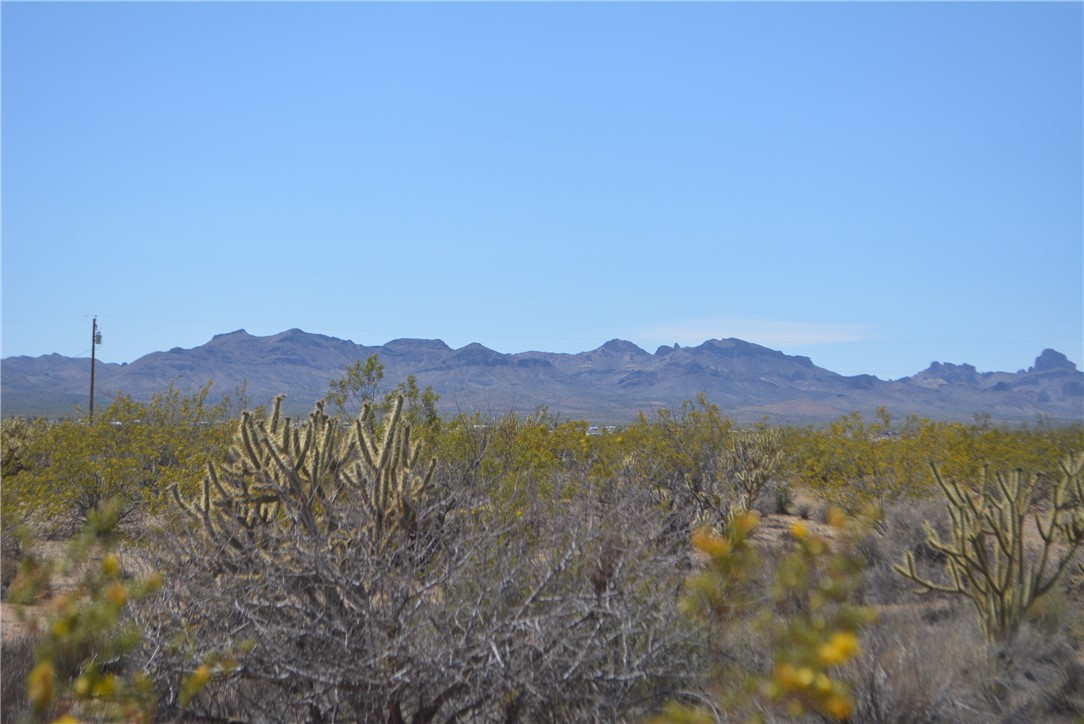 Tbd Parker Road Golden Valley, AZ 86413 - Photo 17 of 23 Gallery Image 17
