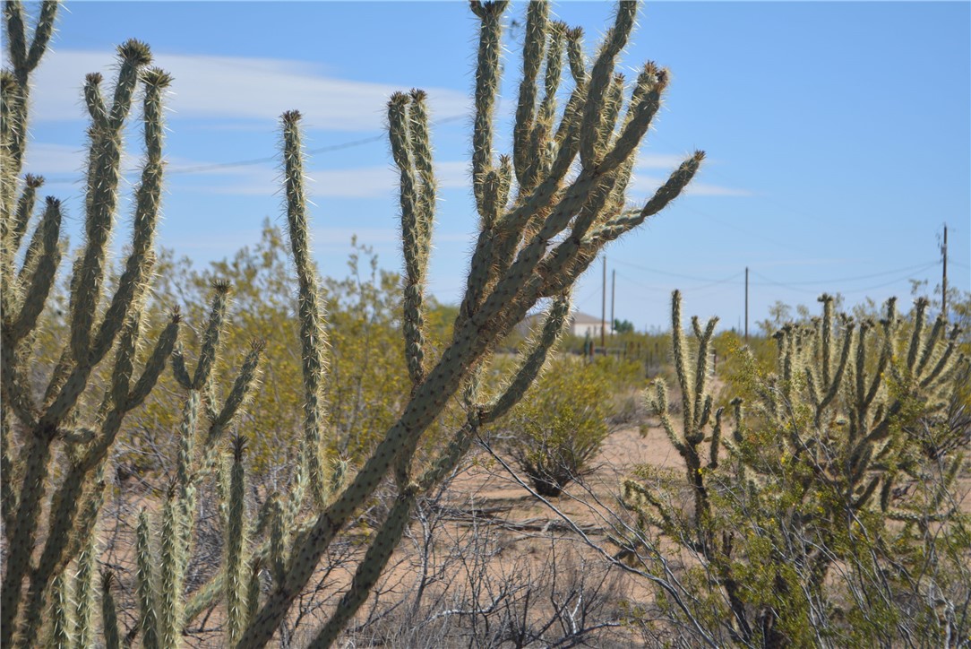 Tbd Parker Road Golden Valley, AZ 86413 - Photo 10 of 23 Gallery Image 10