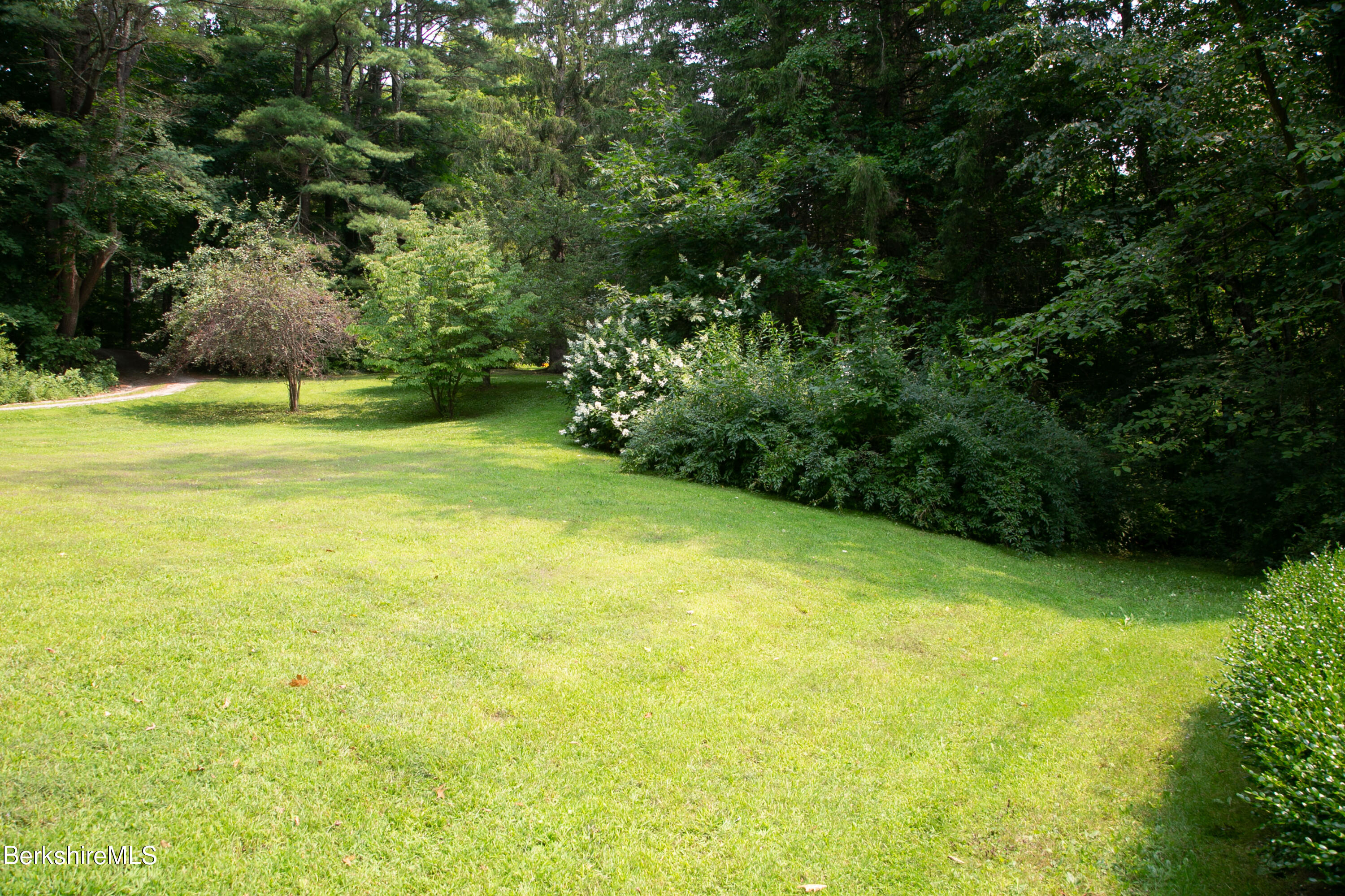 142 Main Road Monterey, MA 01230 - Photo 10 of 32 a view of a yard with a tree