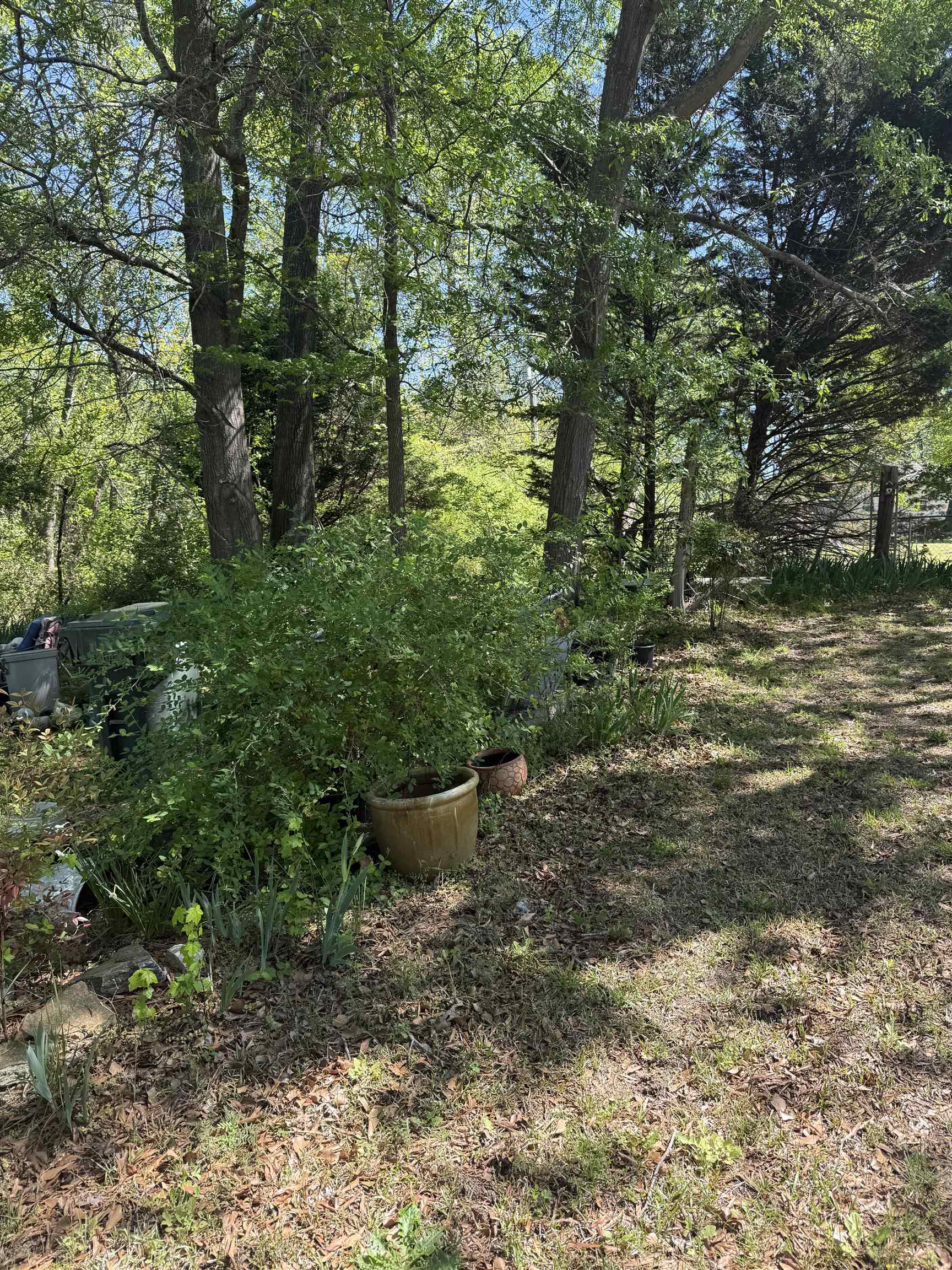 301 Valley Avenue Clover, SC 29710 - Photo 12 of 23