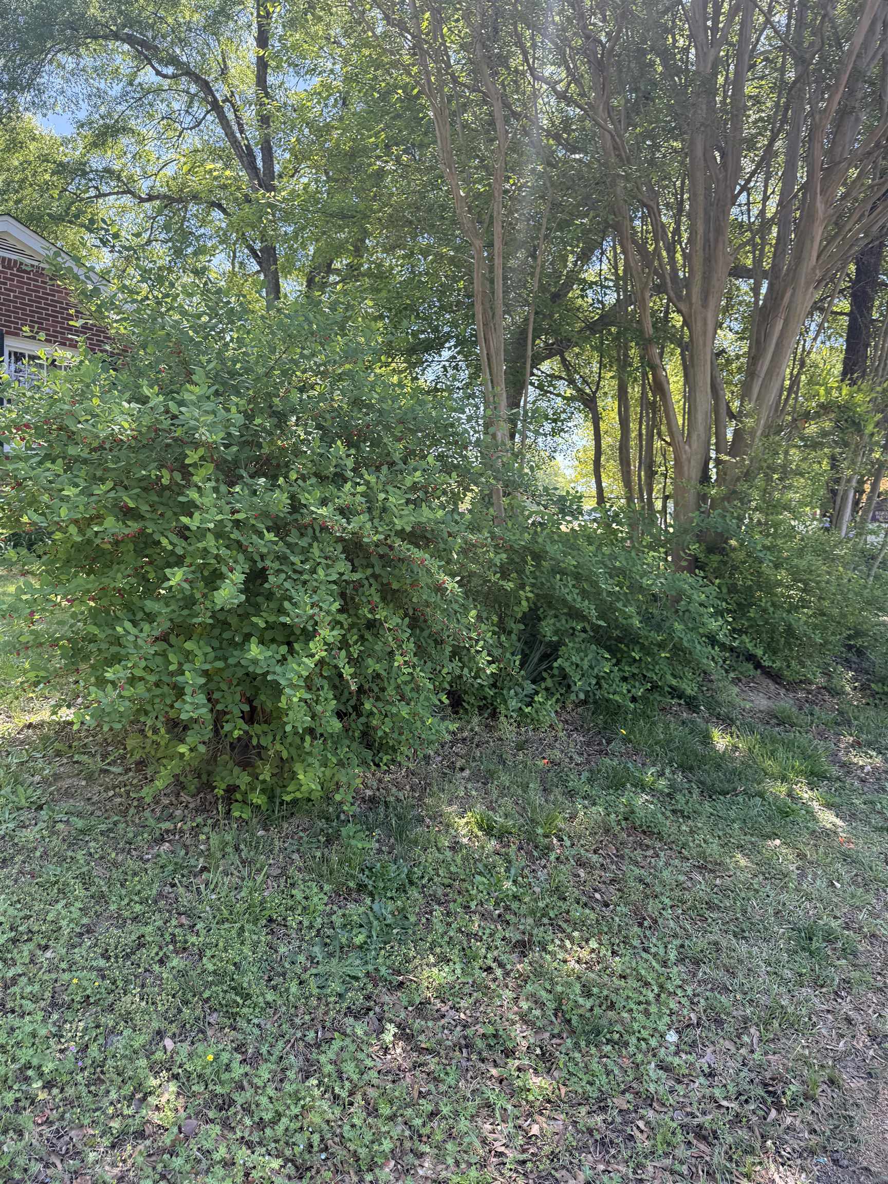 301 Valley Avenue Clover, SC 29710 - Photo 22 of 23