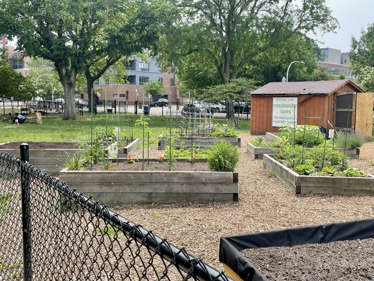 1355 West Washington Boulevard, Unit 4A Chicago, IL 60607 - Photo 18 of 24 a view of a house with backyard sitting area and trees around