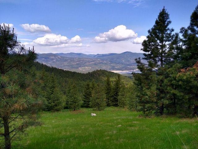 1914 Rickey Canyon Road Rice, WA 99167 - Photo 13 of 23