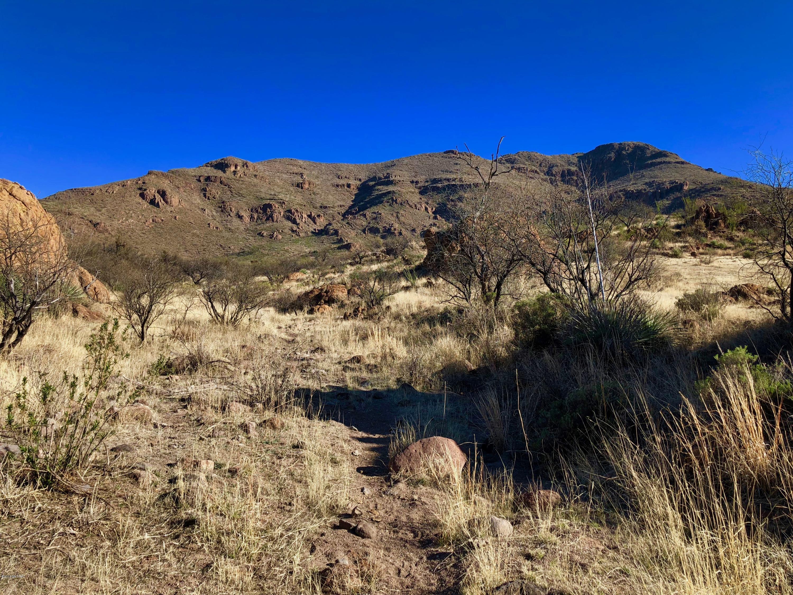 61 Salida Springs Way, Unit 139/7 Rio Rico, AZ 85648 - Photo 25 of 28