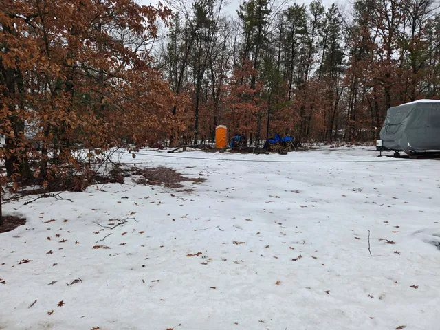 $25,500 | 2652 West Springtime Street, Baldwin, MI 49304