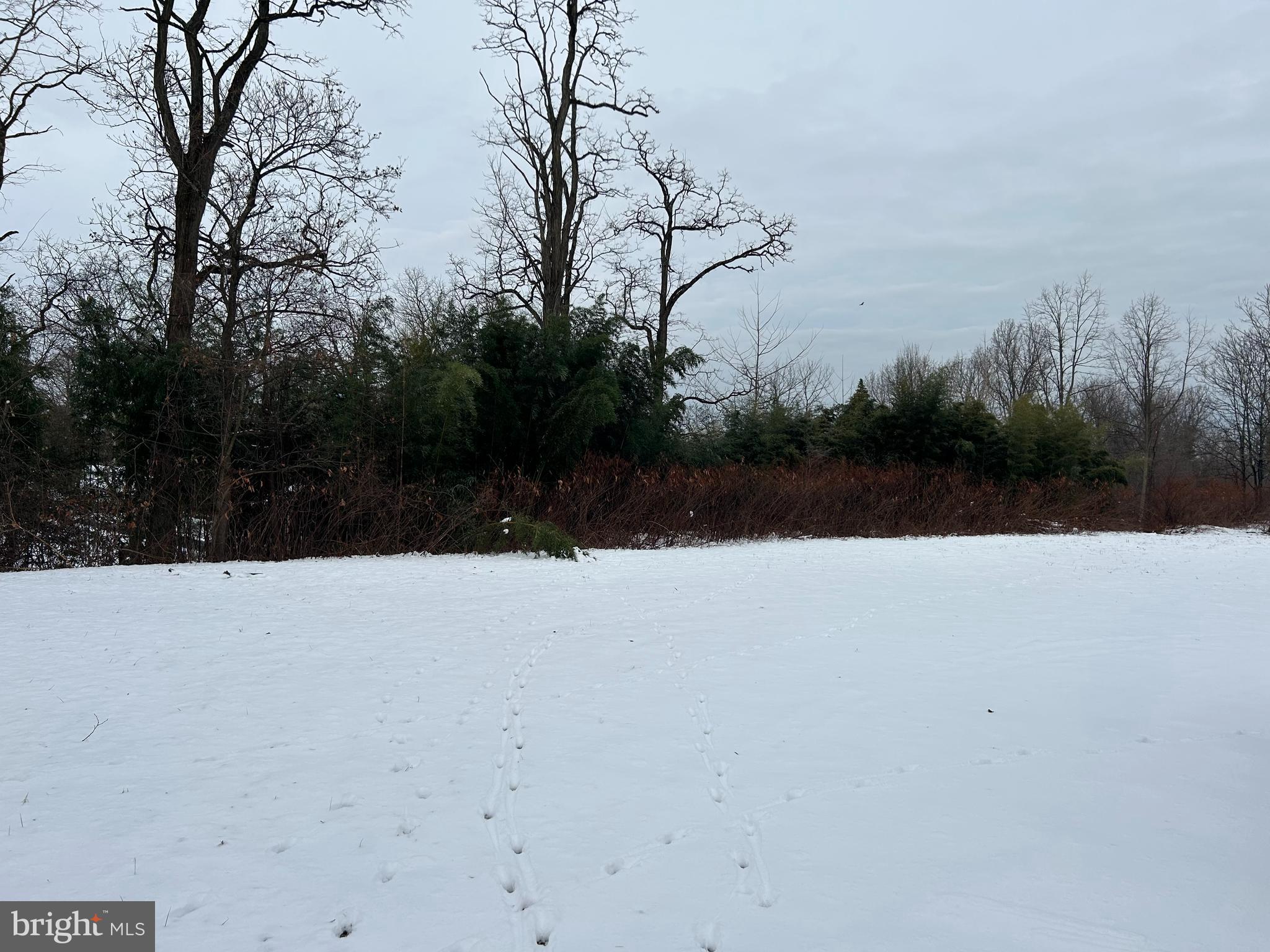 0 Cedar Top Road Reading, PA 19607 - Photo 16 of 19 a view of outdoor space and covered with trees