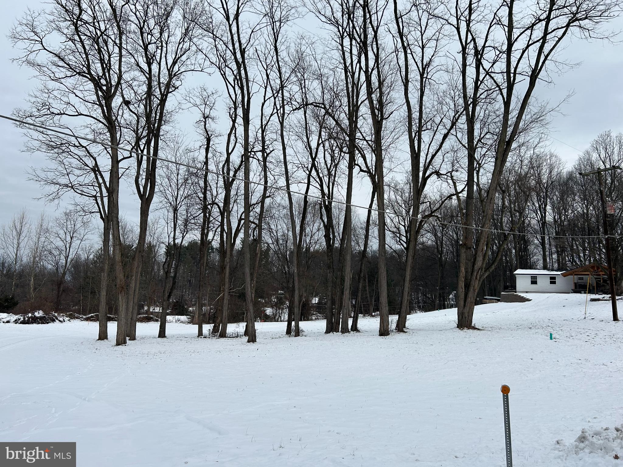 0 Cedar Top Road Reading, PA 19607 - Photo 17 of 19 a view of outdoor space with trees