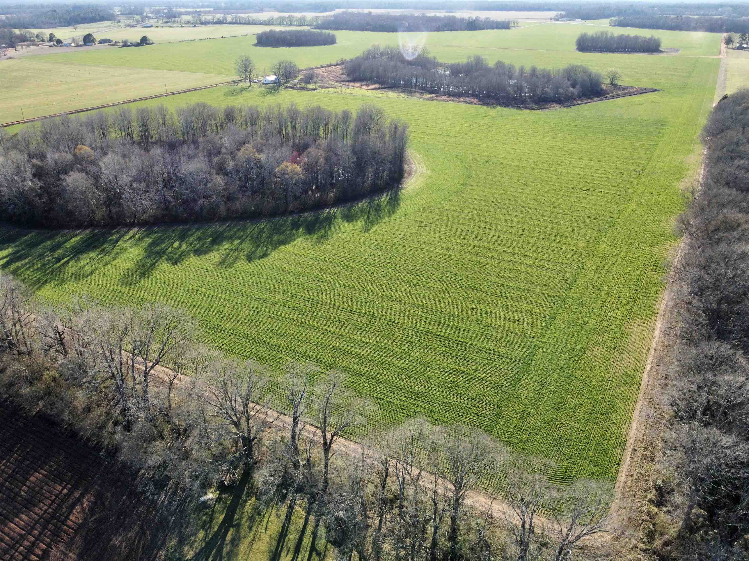 0 Country Road Atmore, AL 36502 - Photo 9 of 27