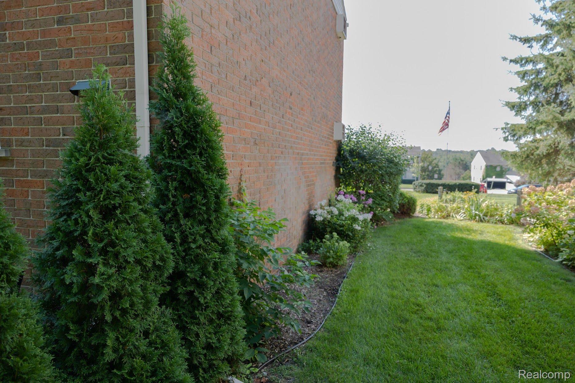 439 Miller Avenue Rochester, MI 48307 - Photo 19 of 21 Gallery Image 19