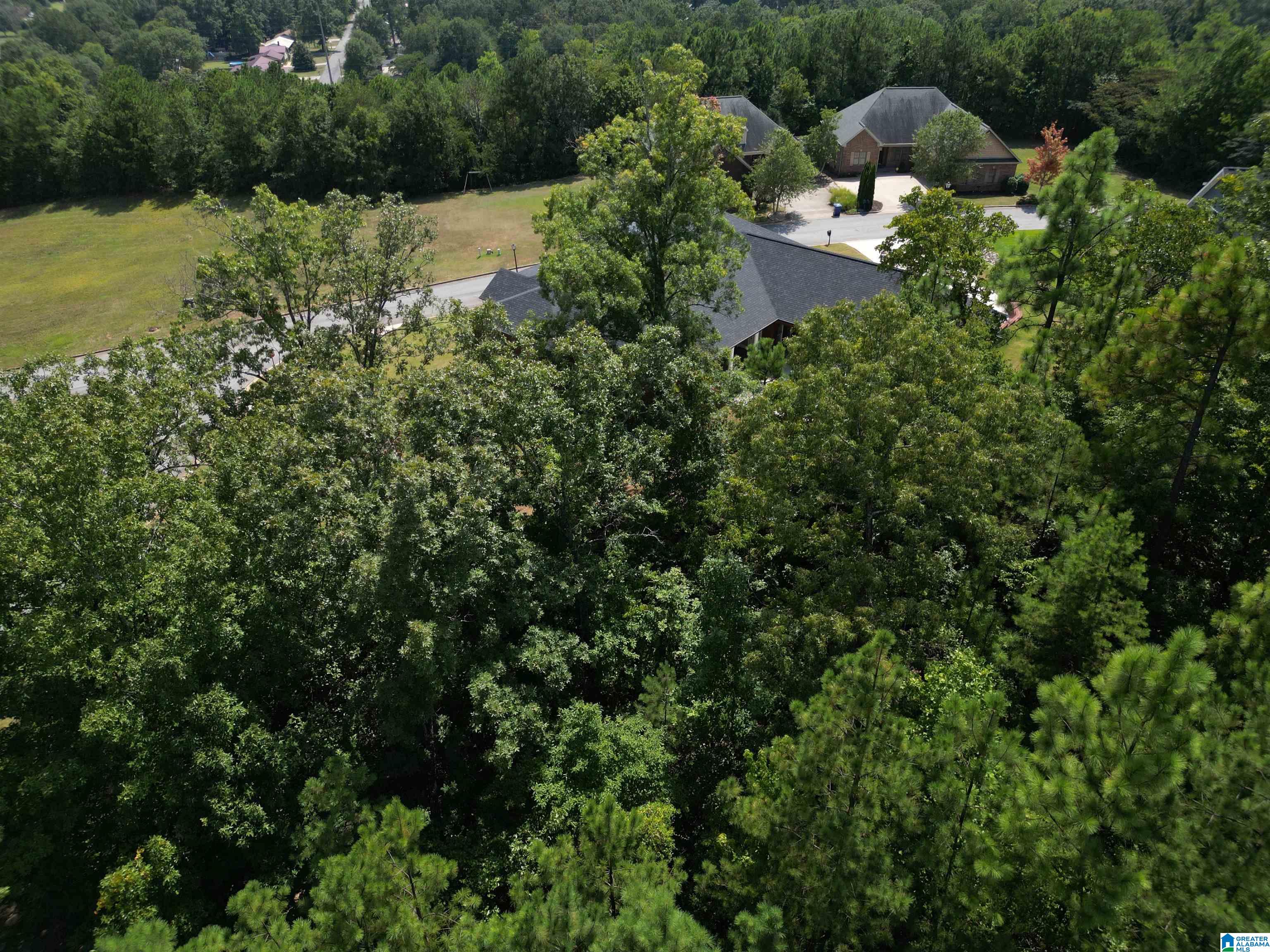 142 Mountain Ridge Road Oxford, AL 36203 - Photo 62 of 63