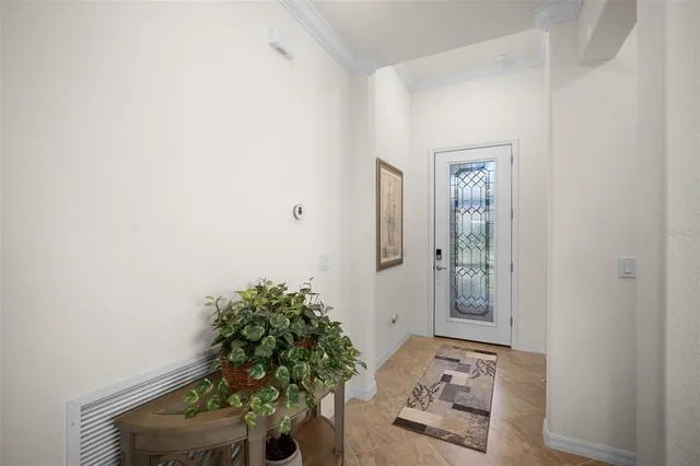 a room with a potted plant and a window