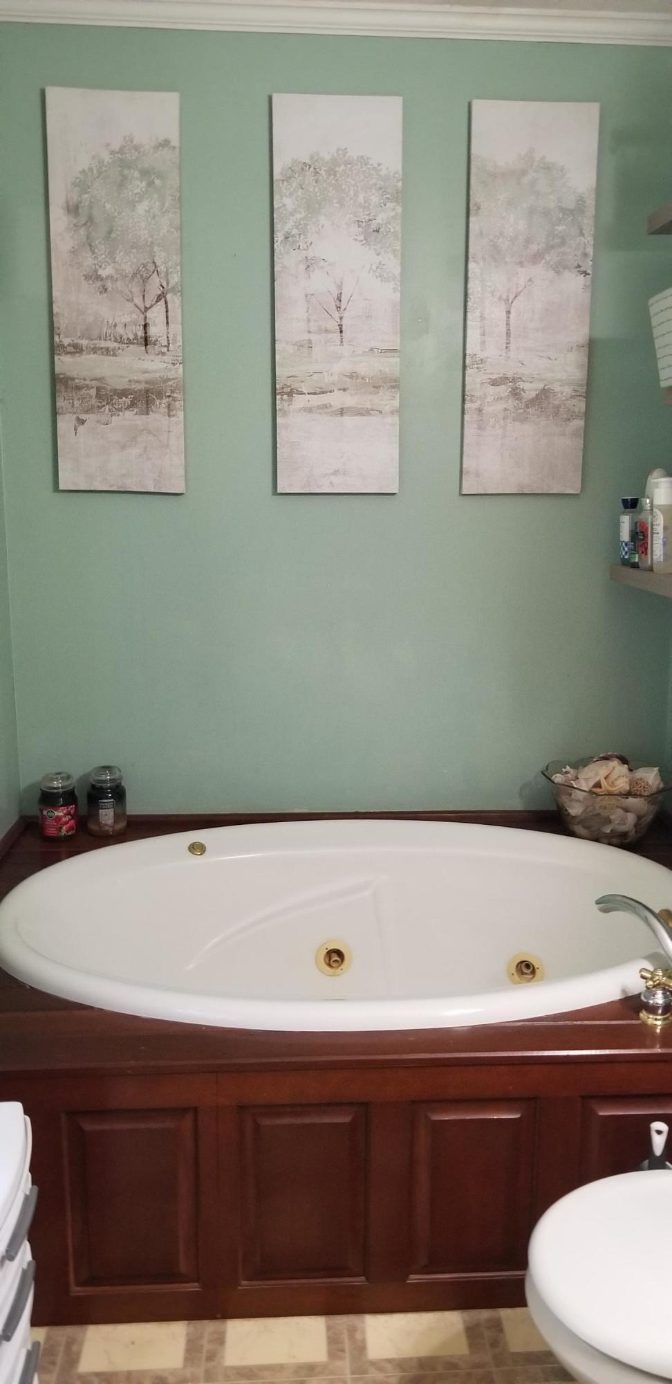 1317 Chandler Road Goodview, VA 24095 - Photo 12 of 29 a bathroom with a bathtub and toilet