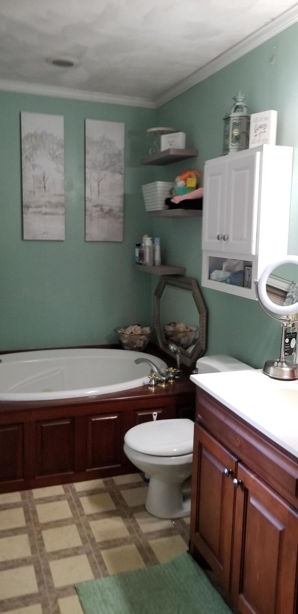 1317 Chandler Road Goodview, VA 24095 - Photo 13 of 29 a bathroom with a sink a toilet and mirror