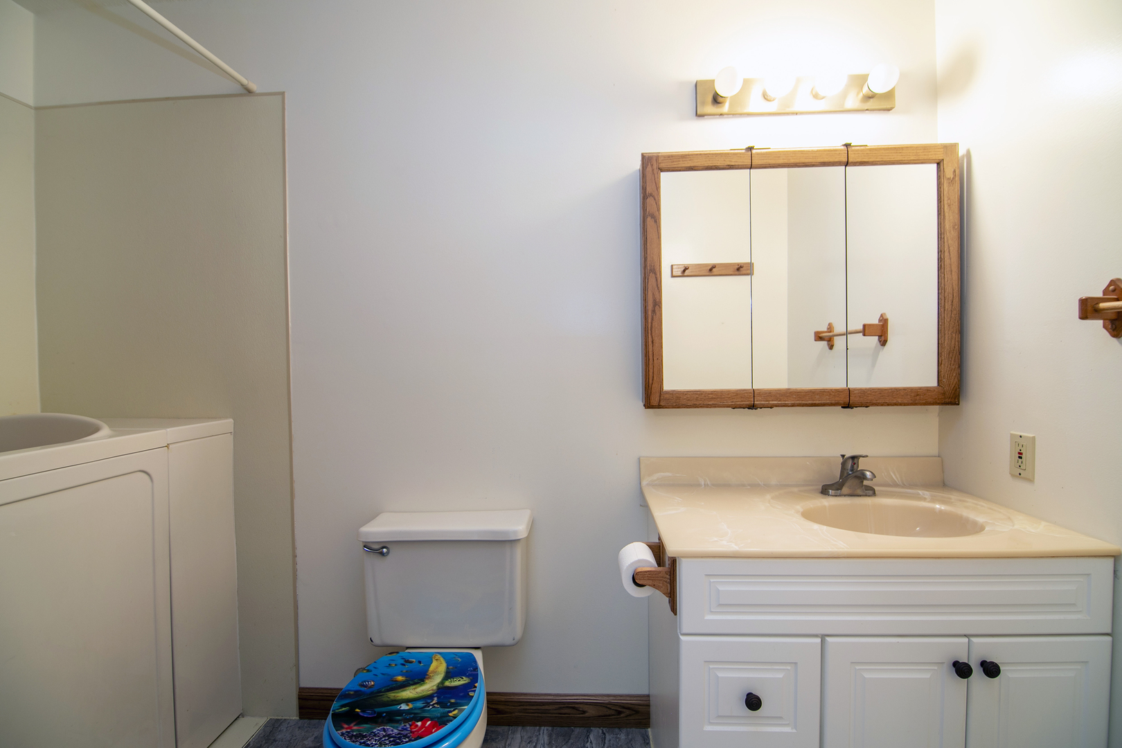 704 East Ash Street Watseka, IL 60970 - Photo 14 of 22