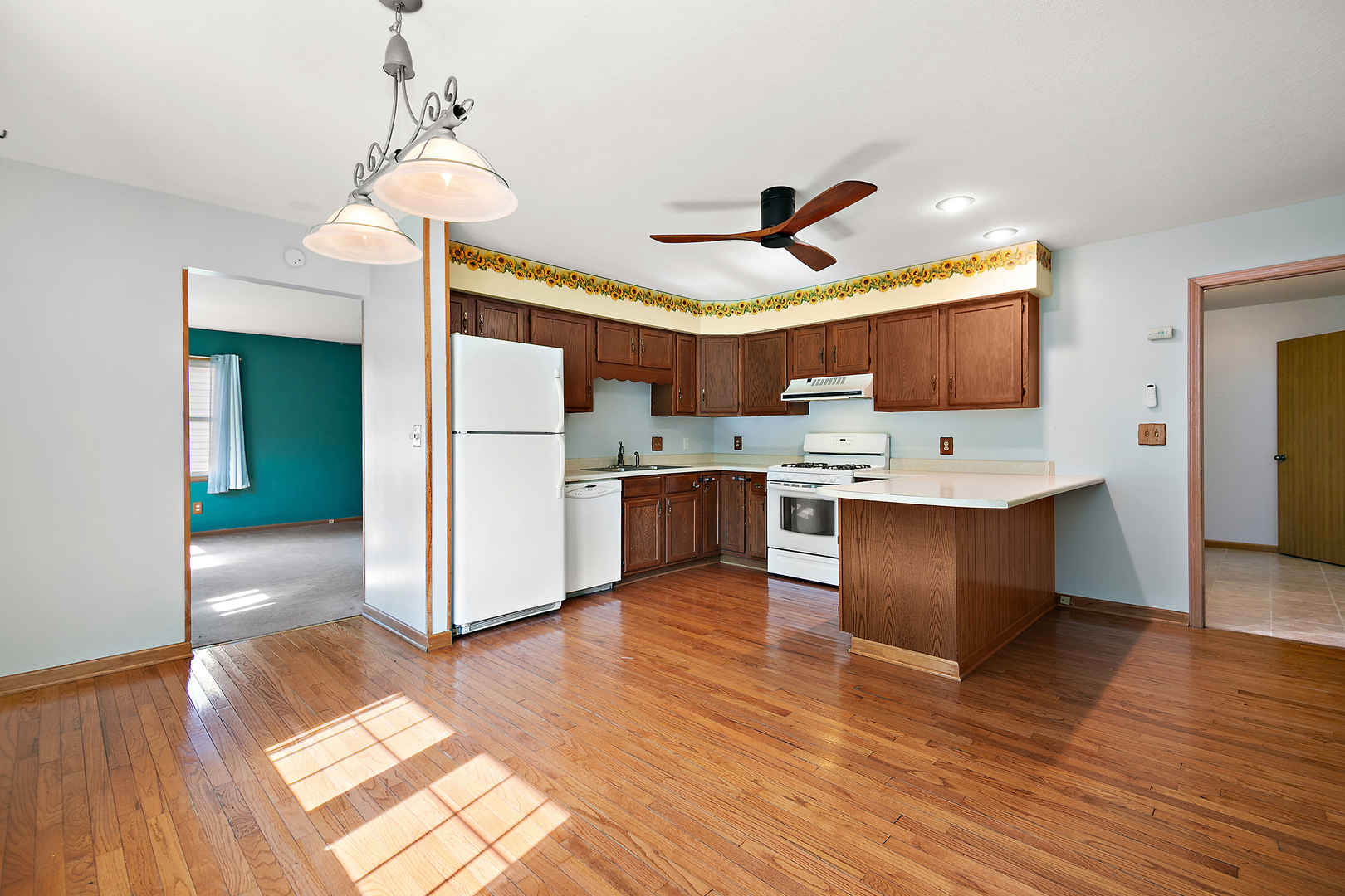 704 East Ash Street Watseka, IL 60970 - Photo 5 of 22