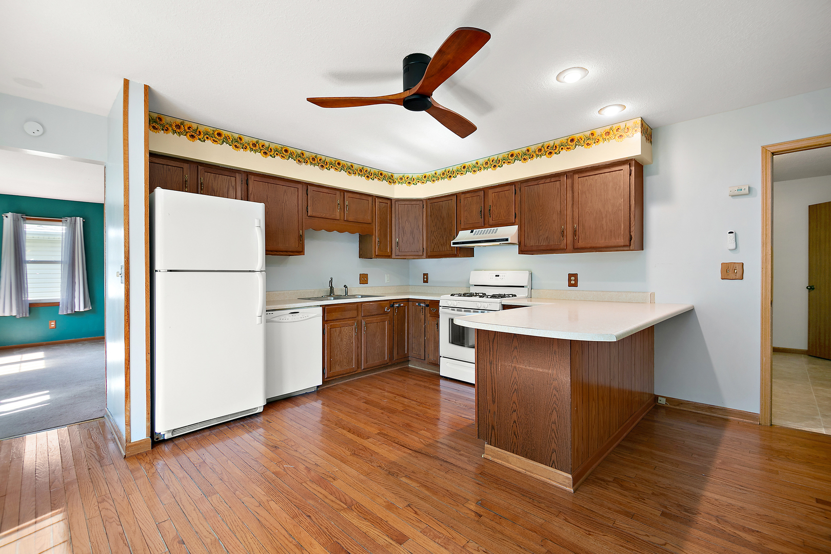 704 East Ash Street Watseka, IL 60970 - Photo 7 of 22