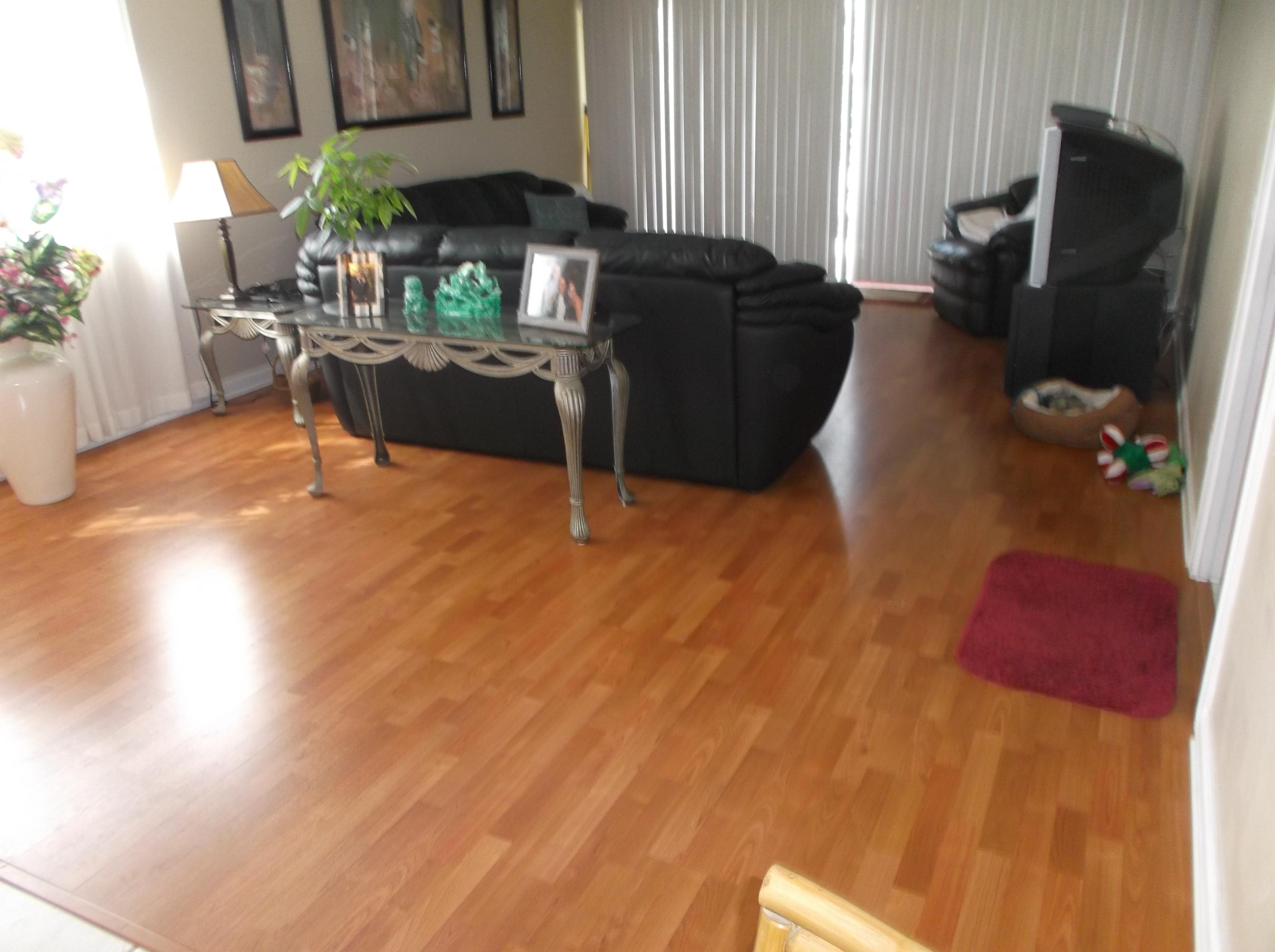 910 Magdalena Road Palm Beach Gardens, FL 33410 - Photo 19 of 20 DSCF1300