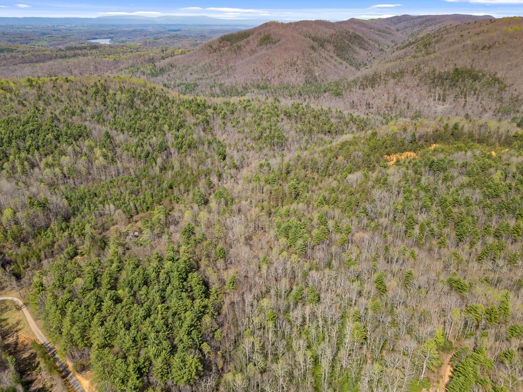 96-ac Cole Mountain Road, Unit 41 Hiwassee, VA 24347 - Photo 34 of 66 Gallery Image 34