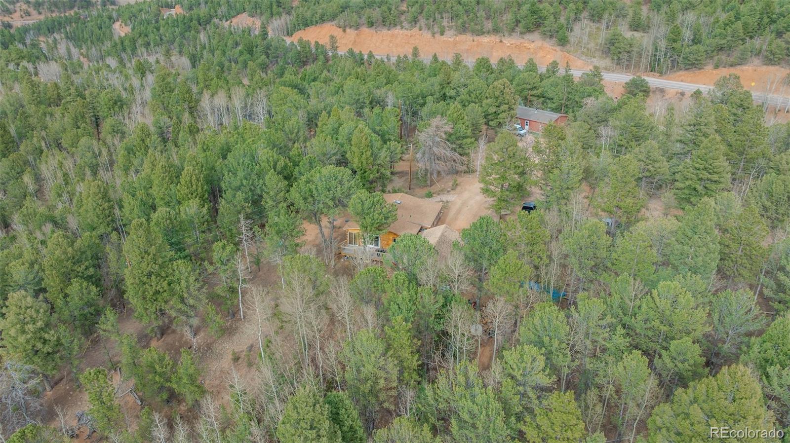 847 Timber Ridge Road Divide, CO 80814 - Photo 30 of 41 a view of a lush green forest with a lake and trees